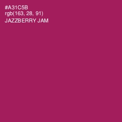 #A31C5B - Jazzberry Jam Color Image
